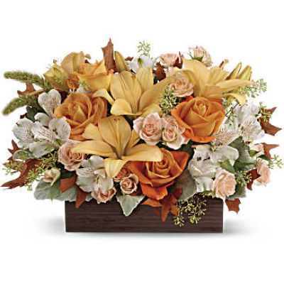 <div id="mark-3" class="m-pdp-tabs-marketing-description">Simply chic and overflowing with fall blooms! This gorgeous arrangement is sure to impress with its glorious shades of autumn - combining orange roses, peach lilies and seasonal brown leaves. Hand-delivered in a dark-toned bamboo rectangle.</div>
 
<div id="desc-3">
<ul>
 	<li>This impressive arrangement features light orange and peach roses, peach asiatic lilies and white alstroemeria, and finished with dusty miller, seeded eucalyptus and millet.</li>
</ul>
</div>